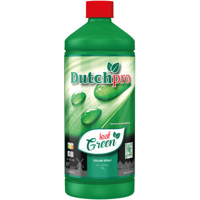 Dutch Pro Leaf Green - National Greenhouse