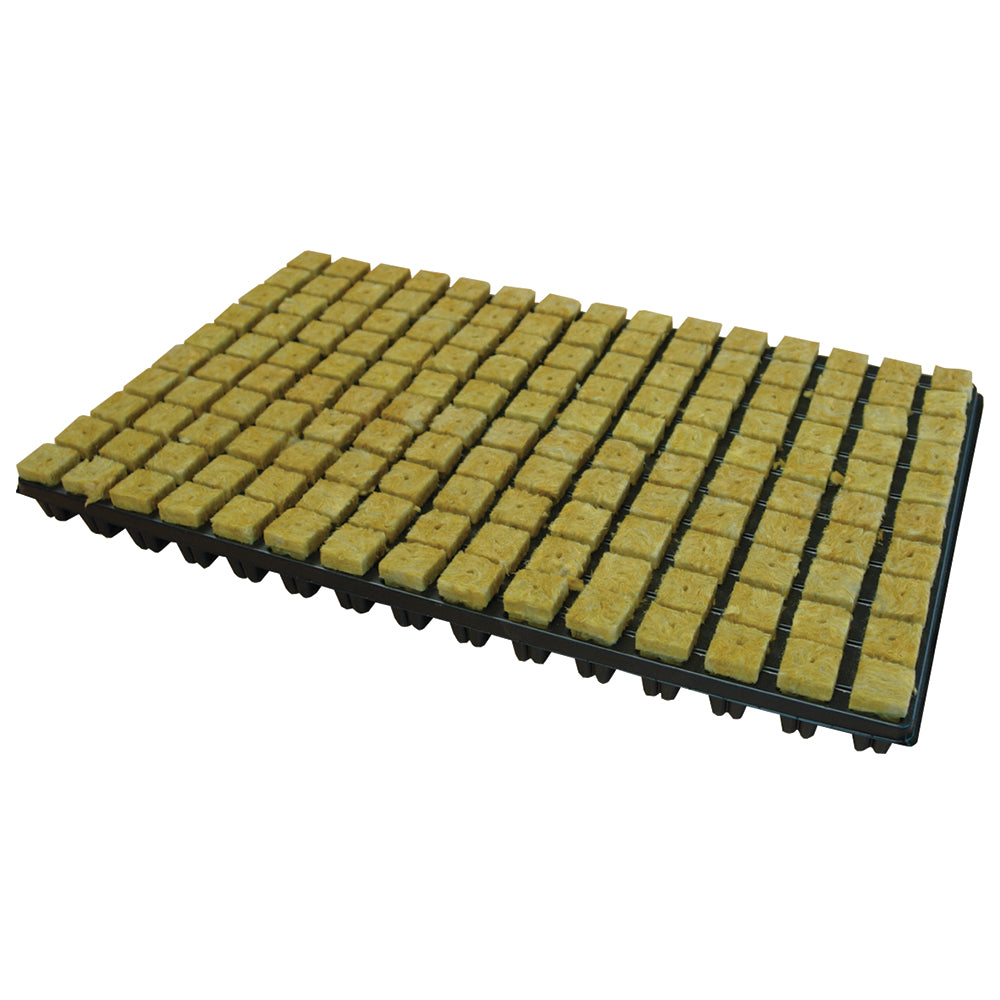 Cultilène Rockwool CRB Tray - National Hydroponics