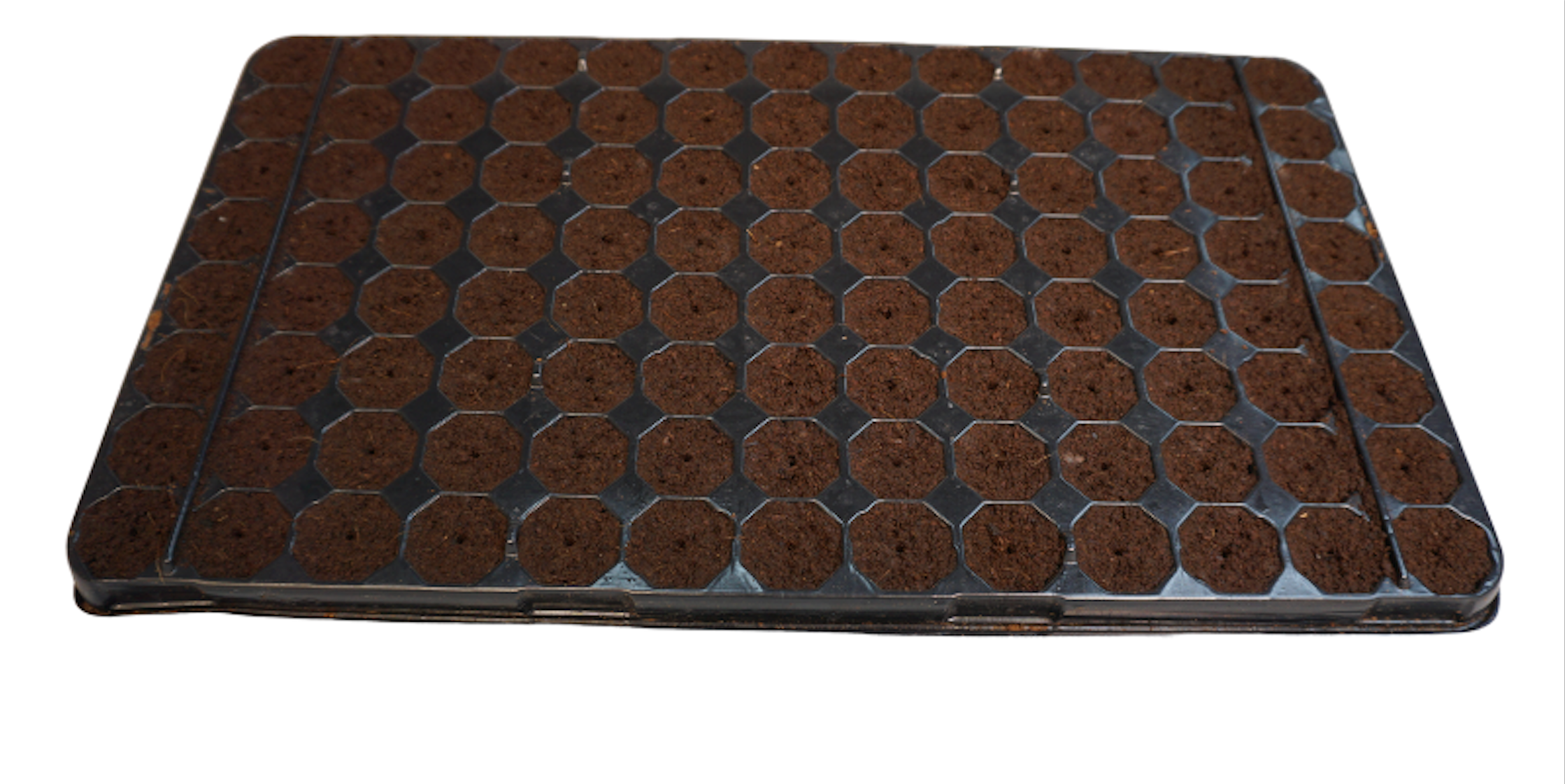 Plug Life Clone Tray 80/20 (104)