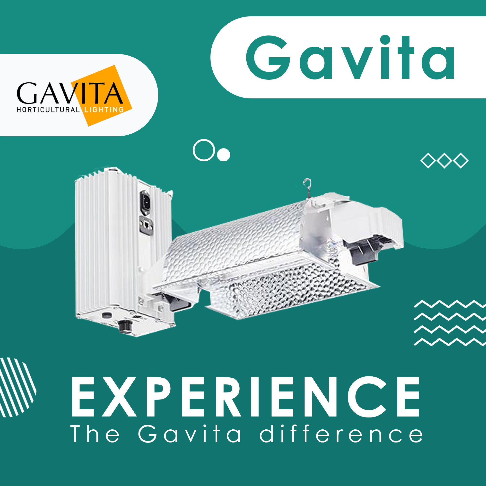 Gavita Hydroponics Equipment